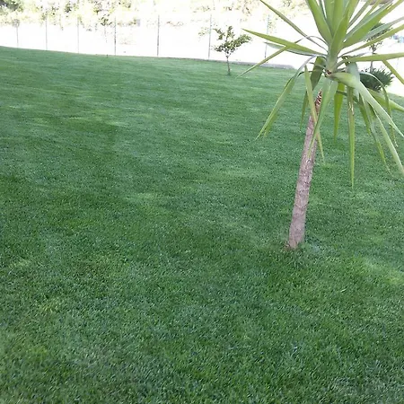 לינה וארוחת בוקר La Veranda Acri