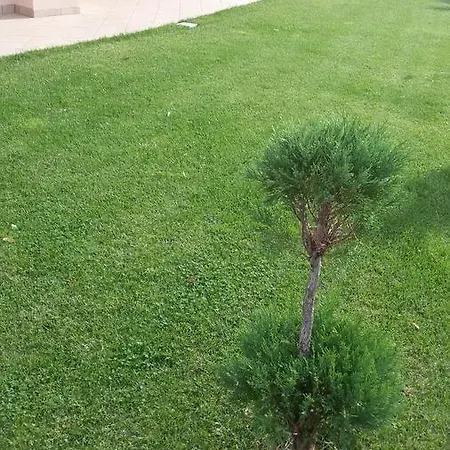 La Veranda Panzió *